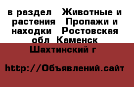  в раздел : Животные и растения » Пропажи и находки . Ростовская обл.,Каменск-Шахтинский г.